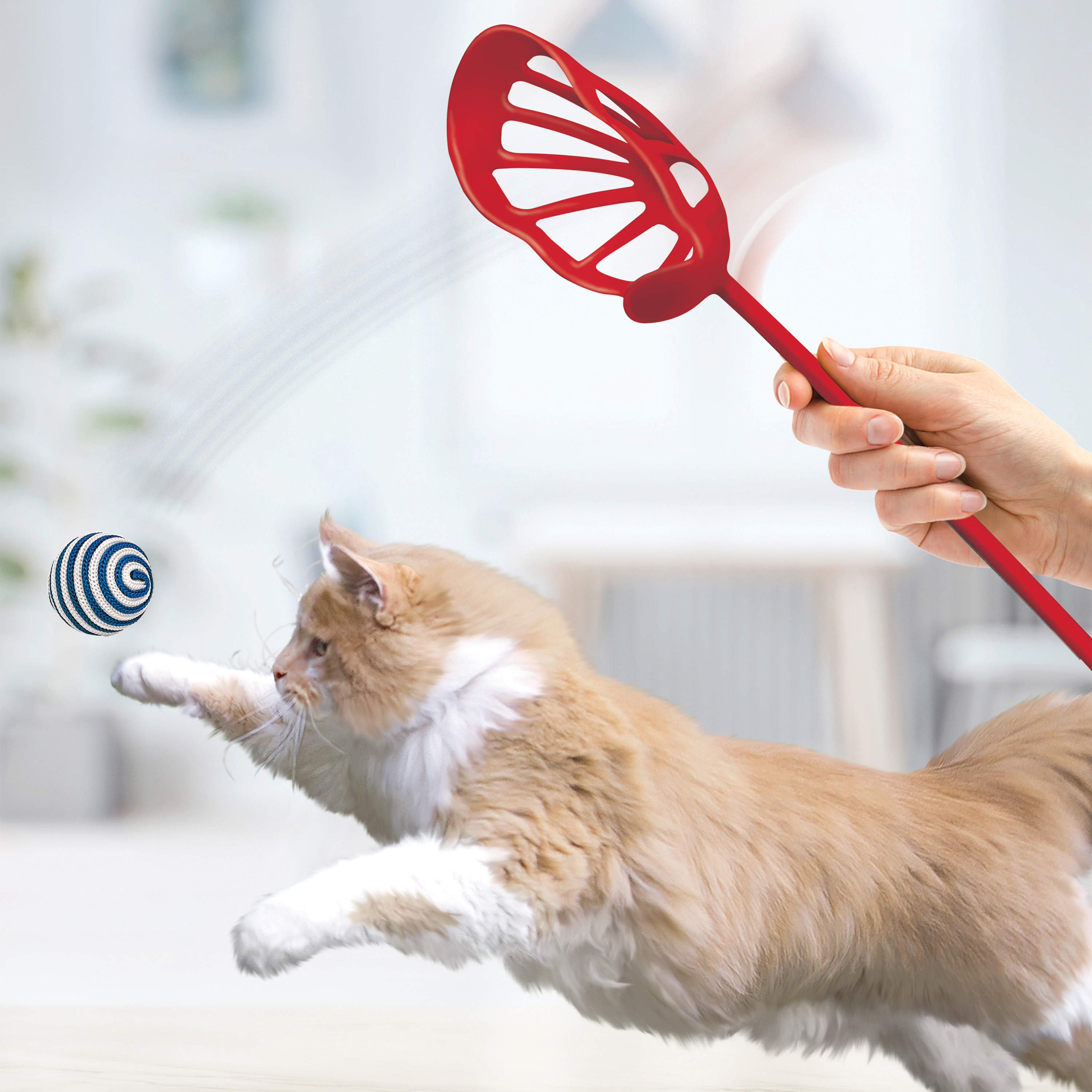 Cat Sport Toss lifestyle product image