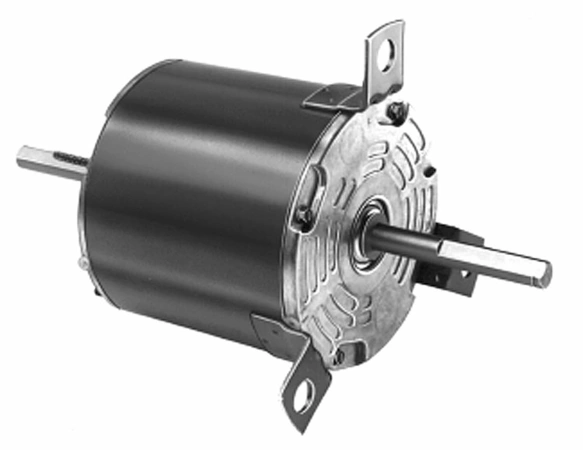 D1081