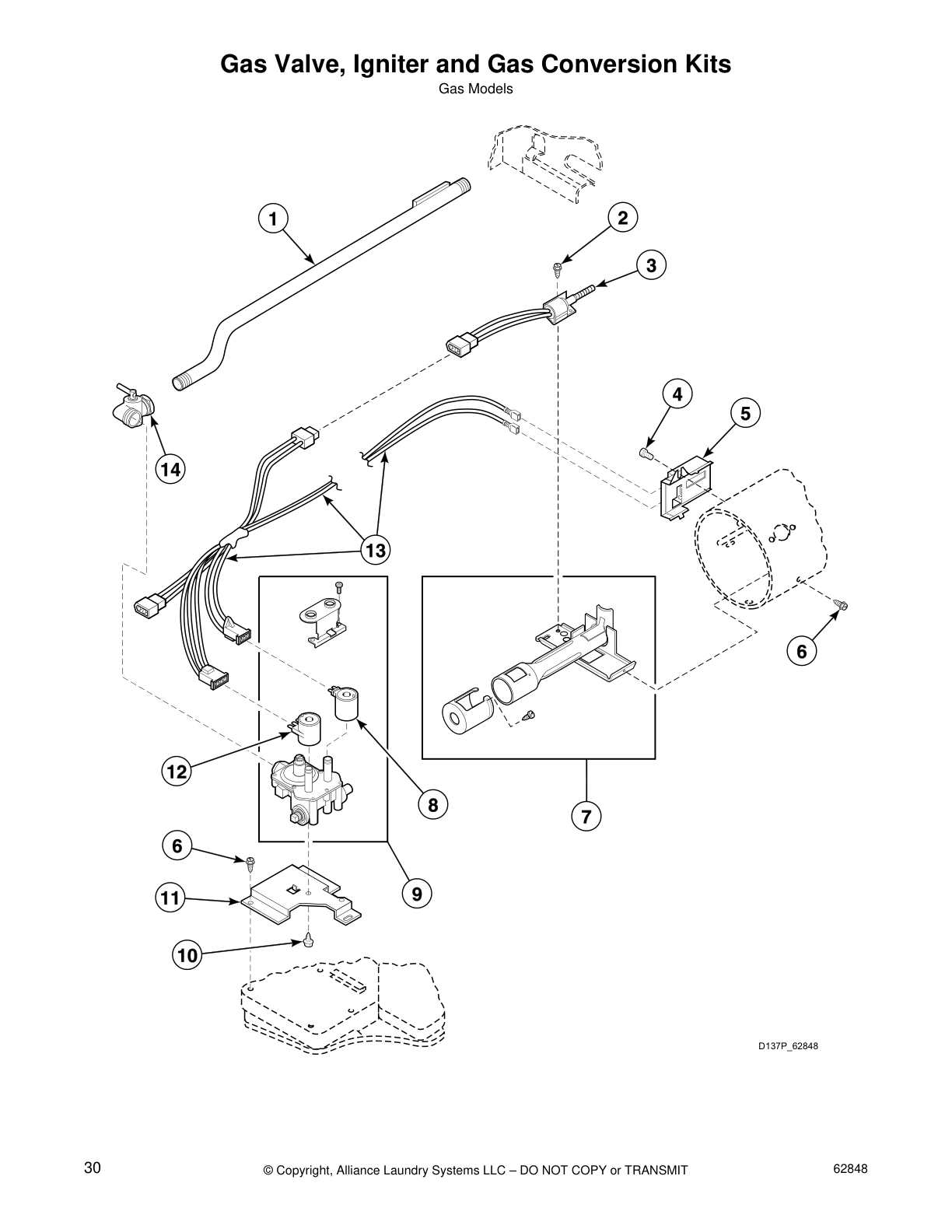 Gas Valve, Igniter and Gas Conversion Kits