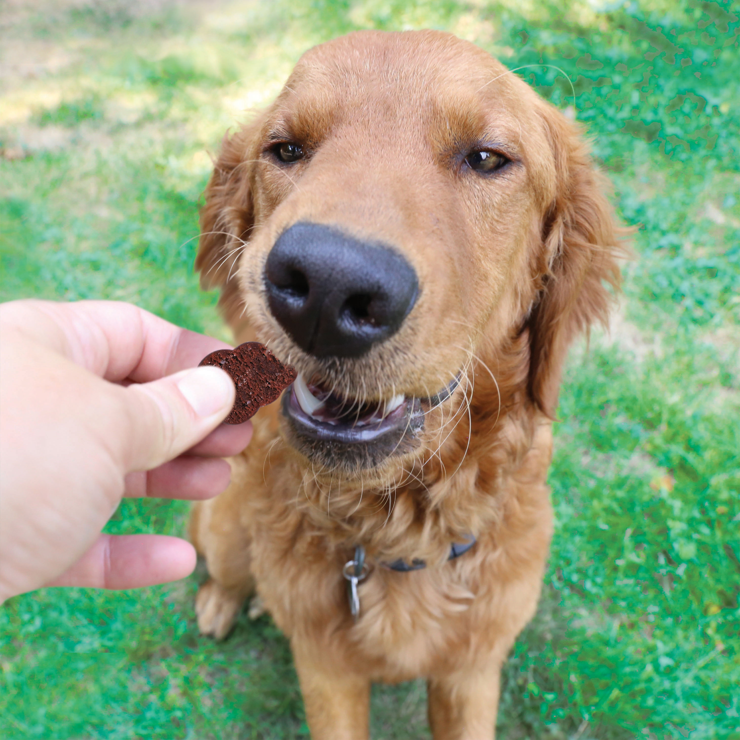 Vitamin Chews lifestyle product image