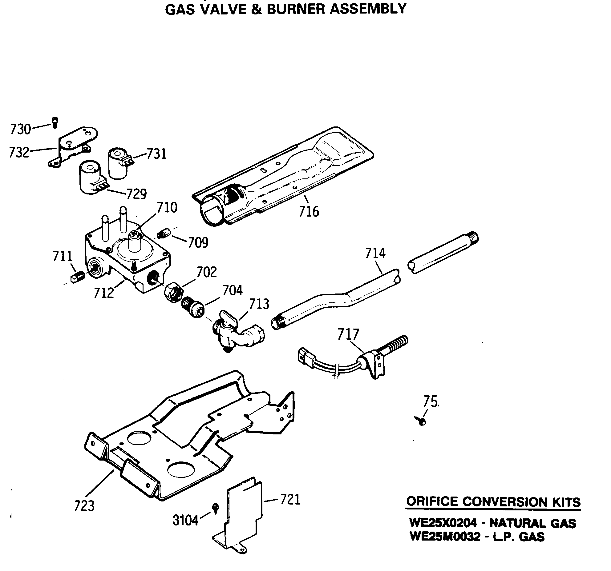 GAS VALVE & BURNER ASSEMBLY