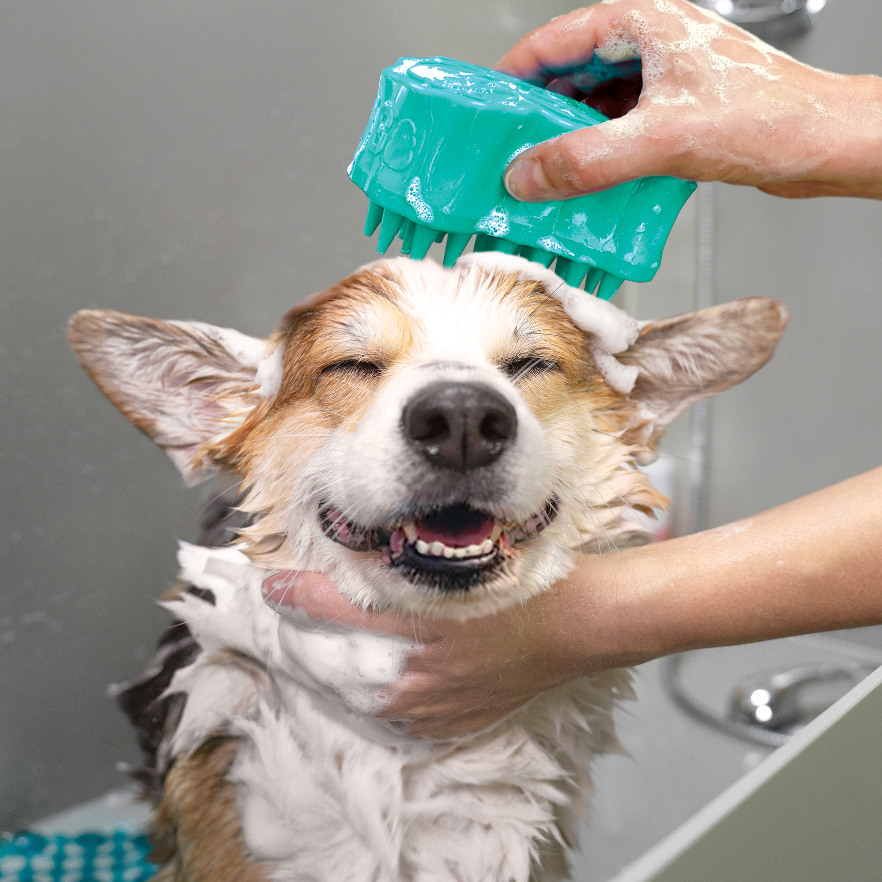 ZoomGroom Bubbles Lg lifestyle product image