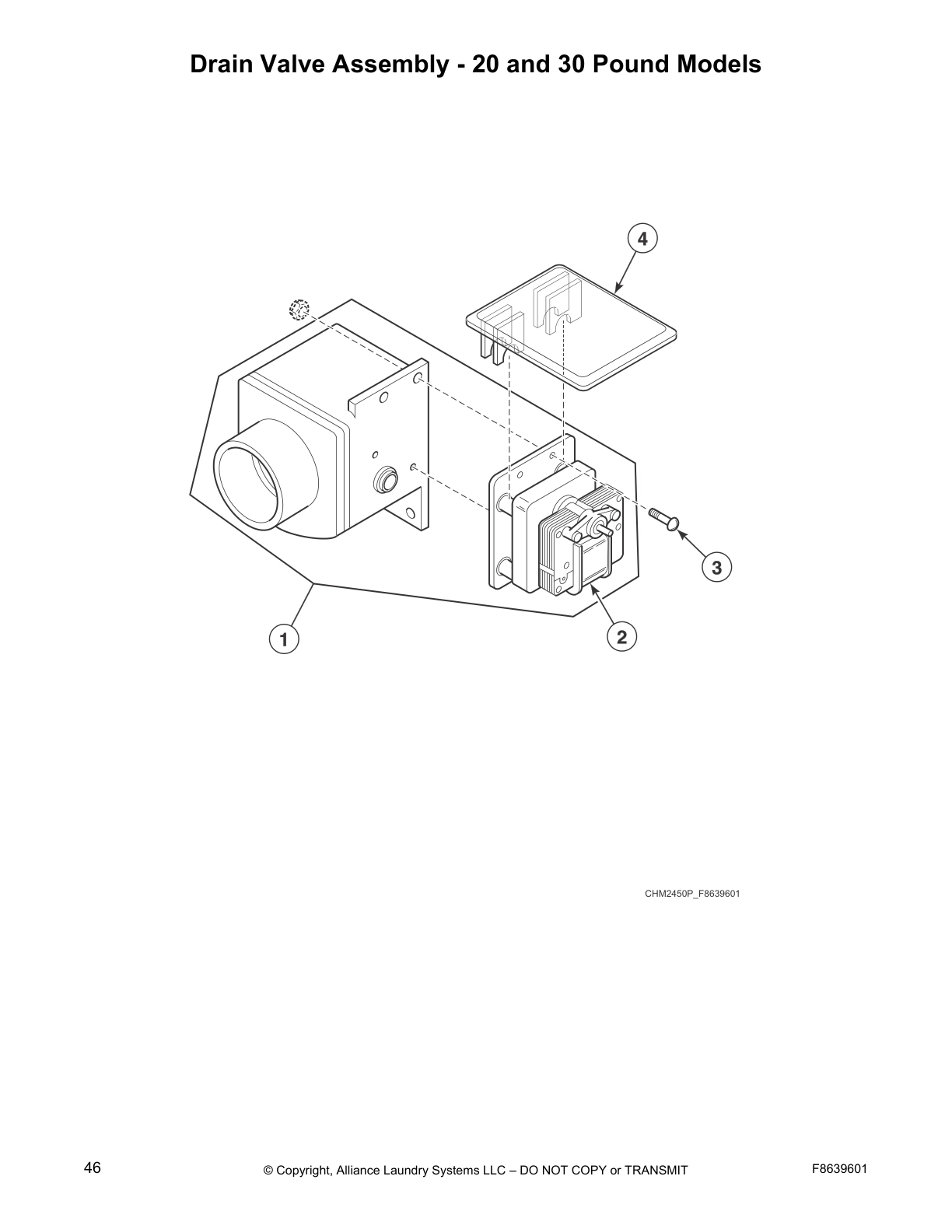Drain Valve Assembly - 20 and 30 Pound Models