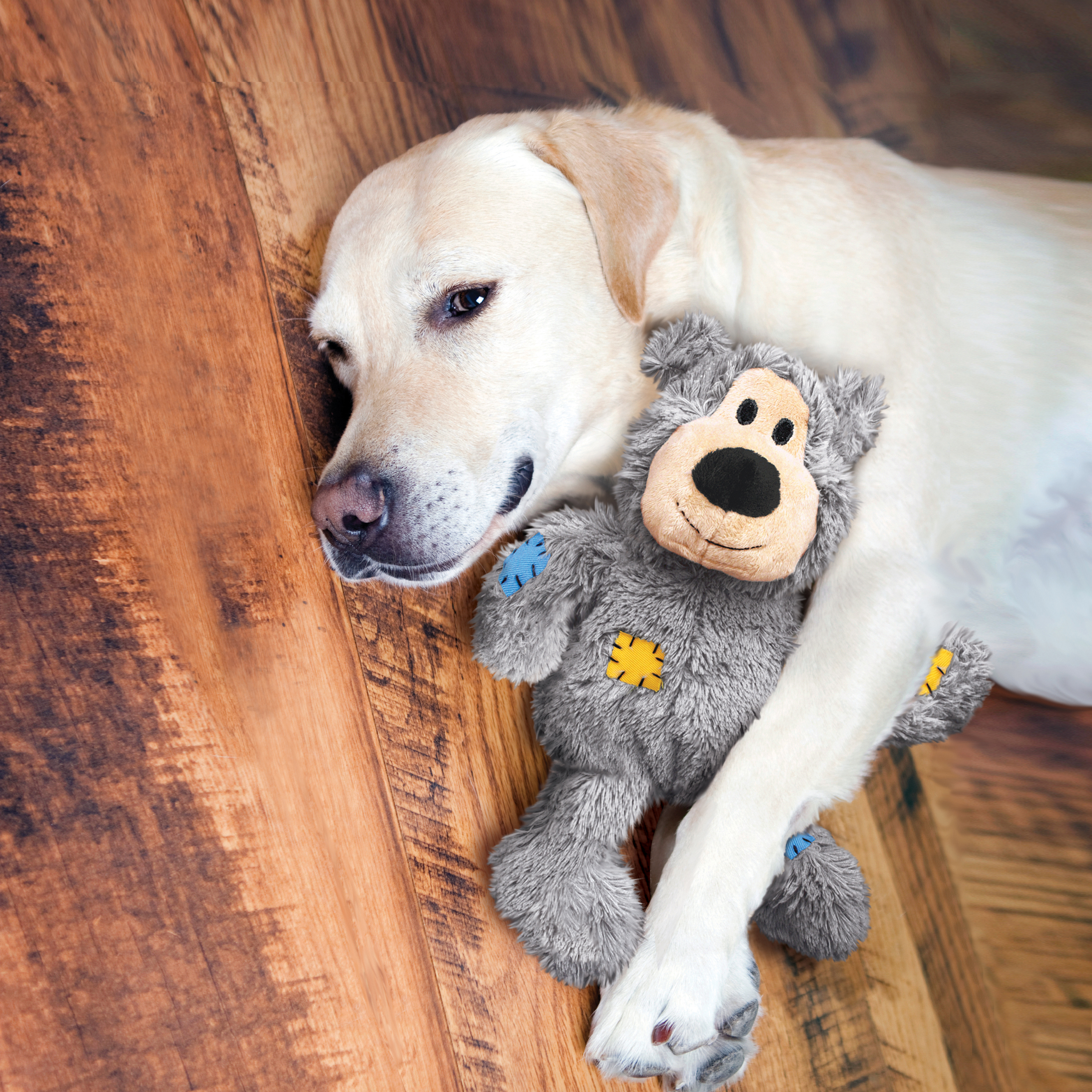 Wild Knots Bear lifestyle product image