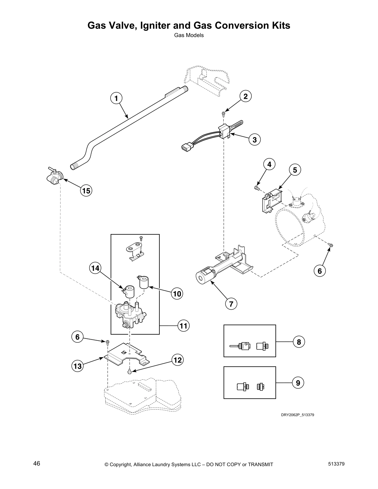 Gas Valve, Igniter and Gas Conversion Kits