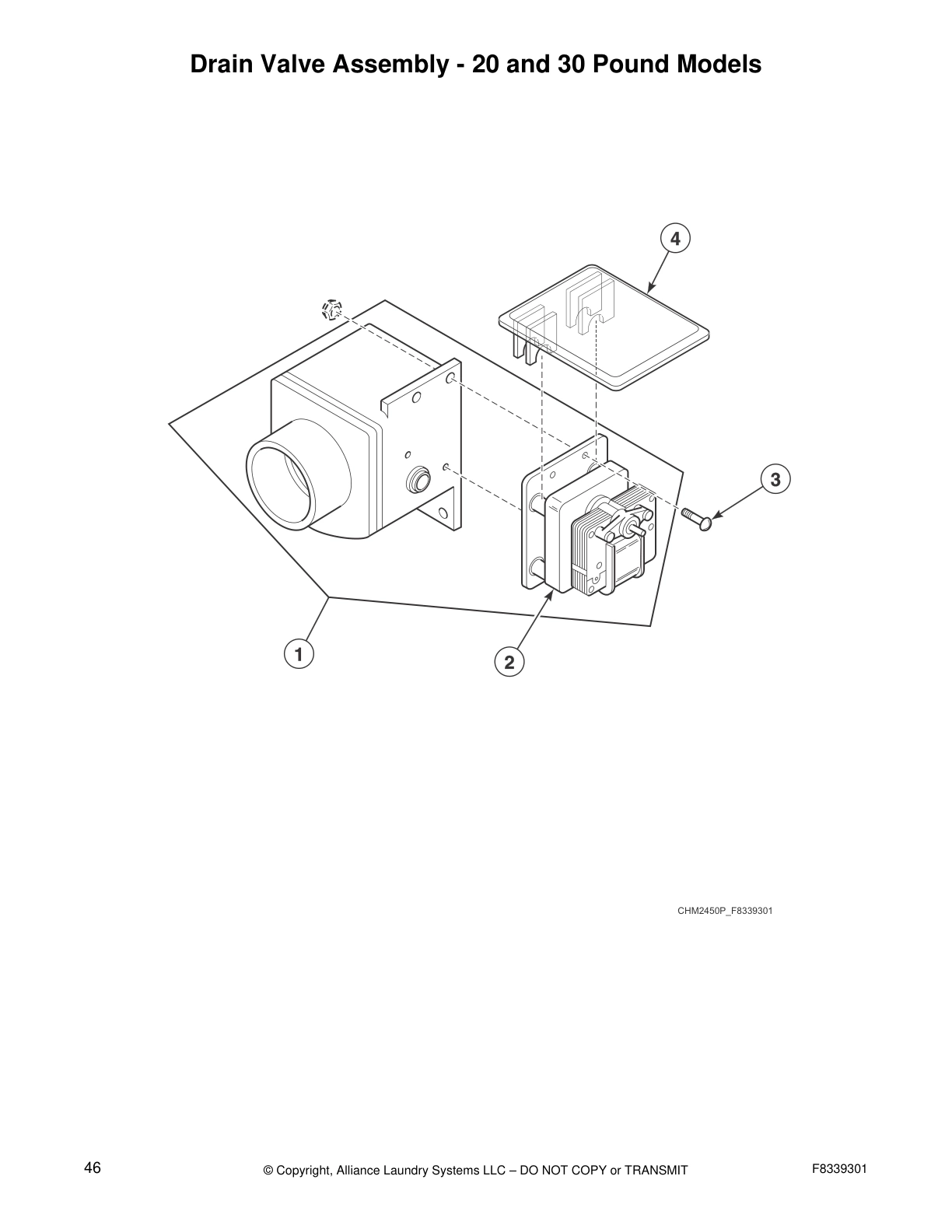 Drain Valve Assembly - 20 and 30 Pound Models