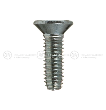 HINGE SCREW