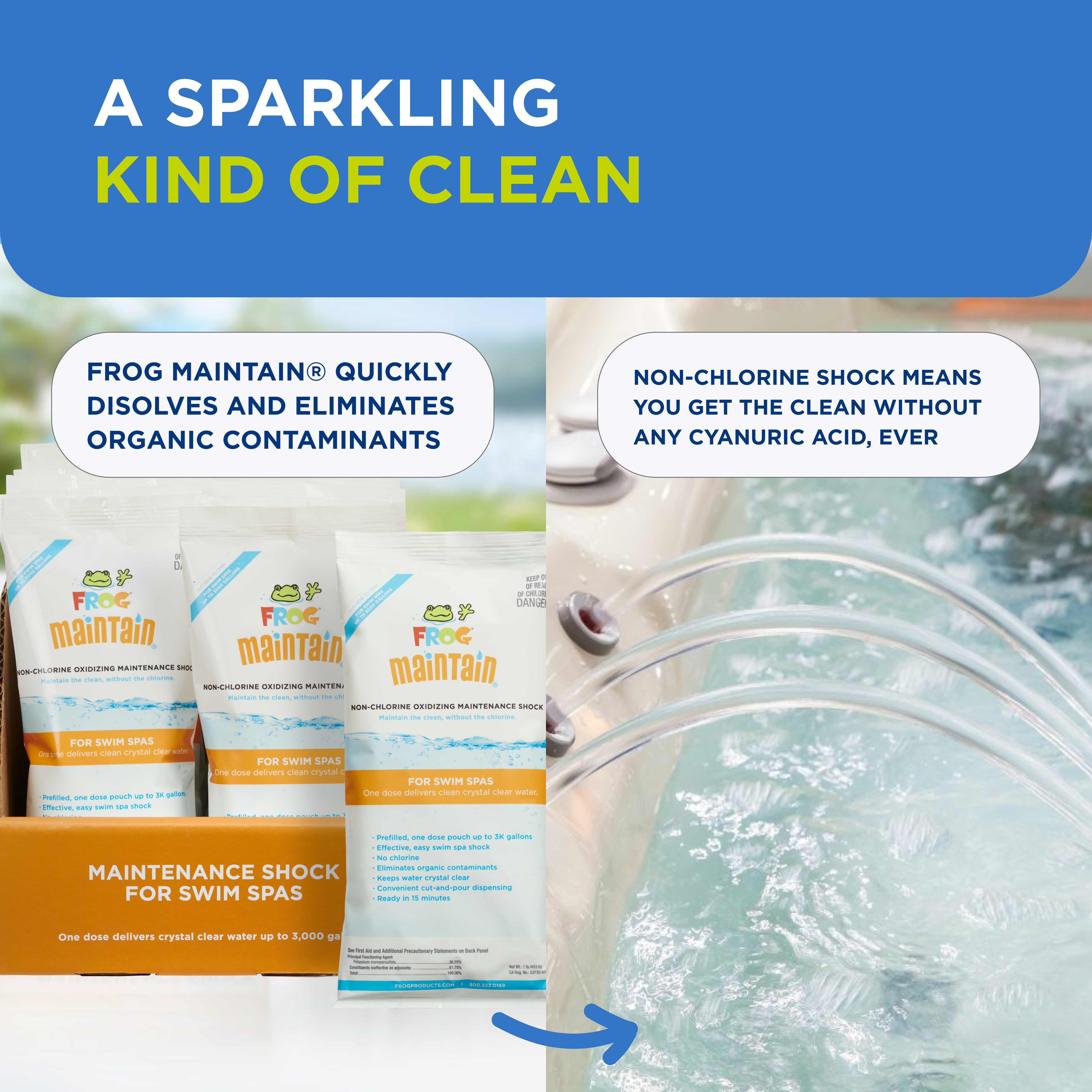 FROG Maintain for Swim Spas Non-Chlorine Shock, @ease System, Maintenance, 2pk