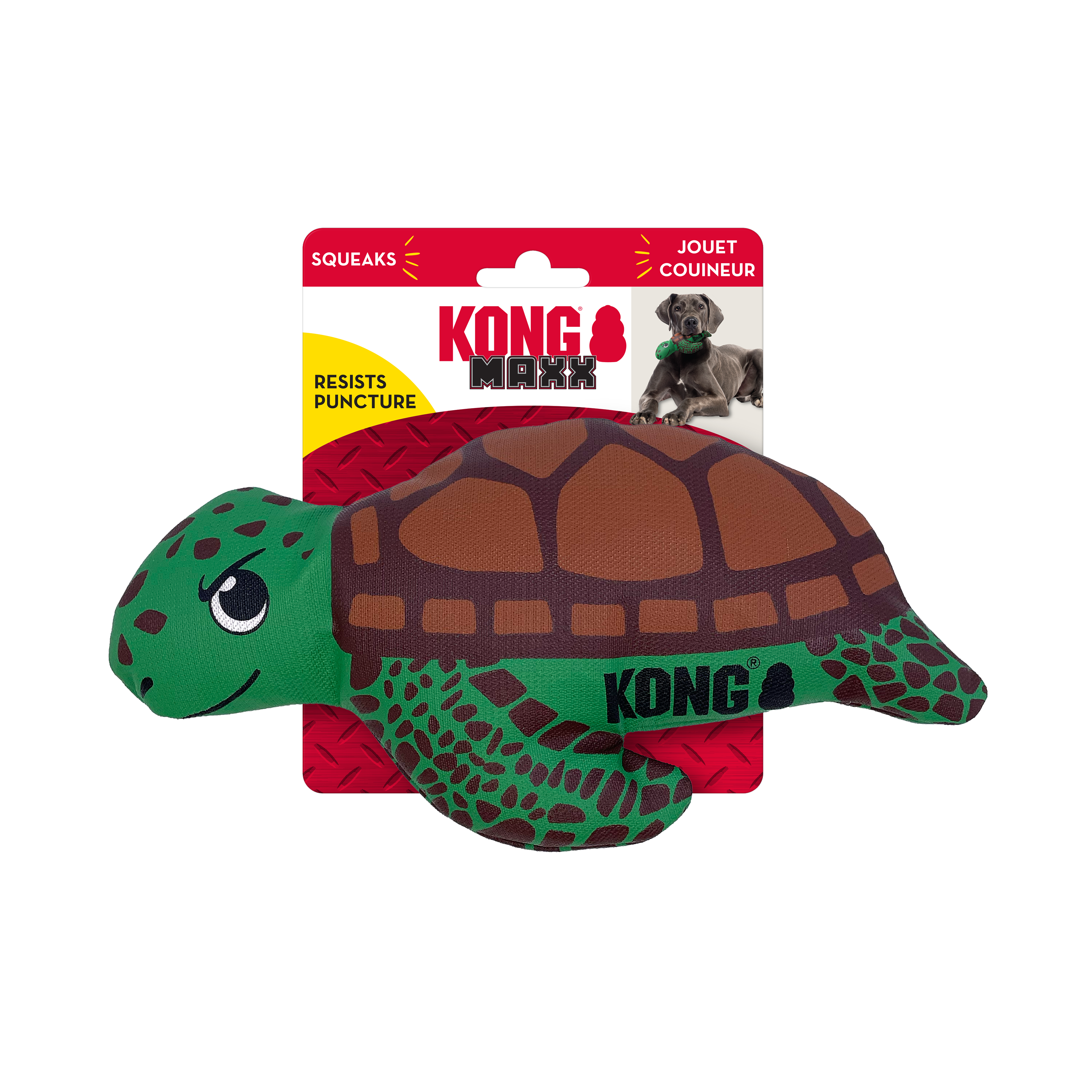 Kong turtle dog outlet toy