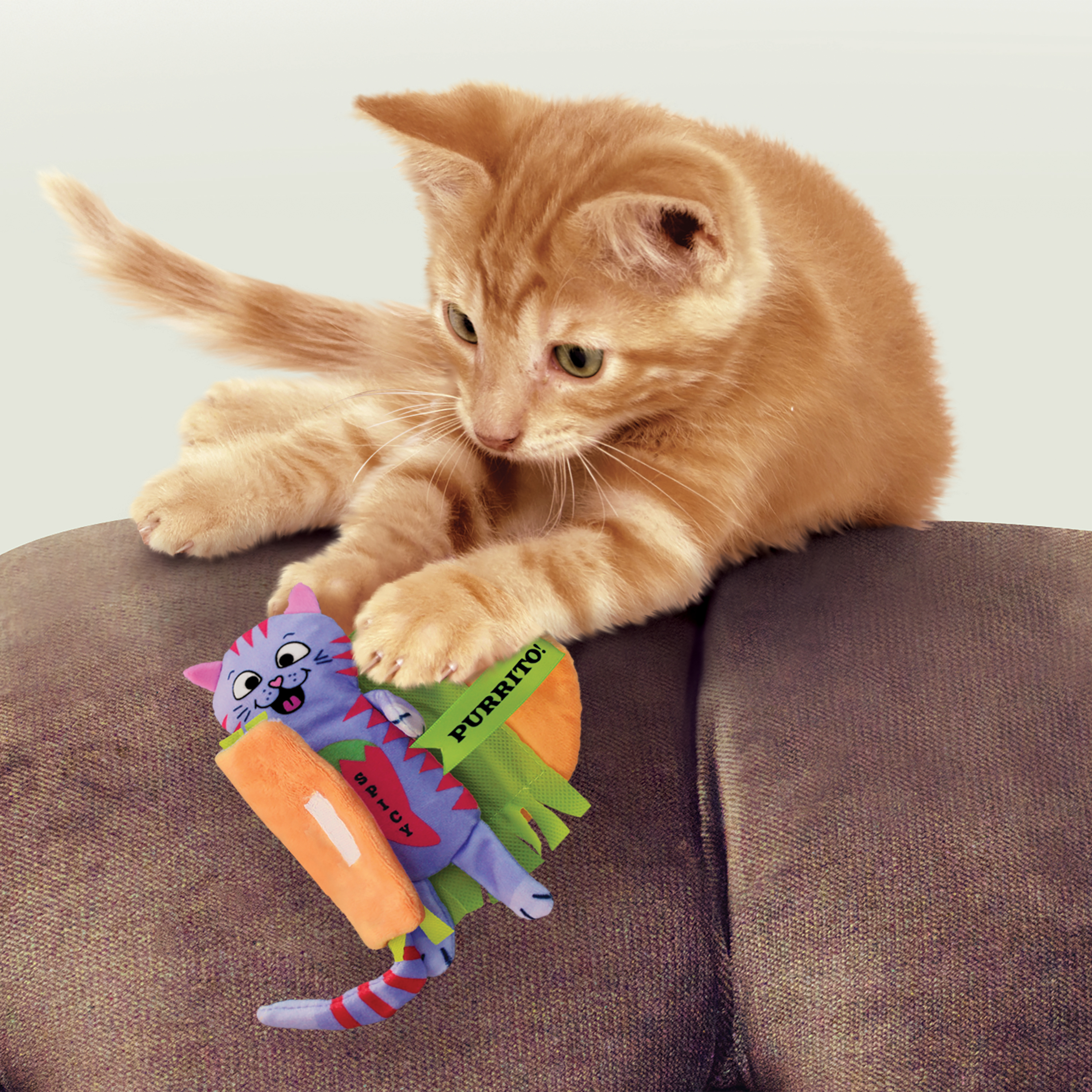 Cat toys hotsell cat toys