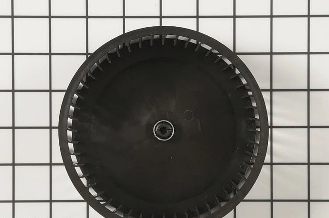 S97016962