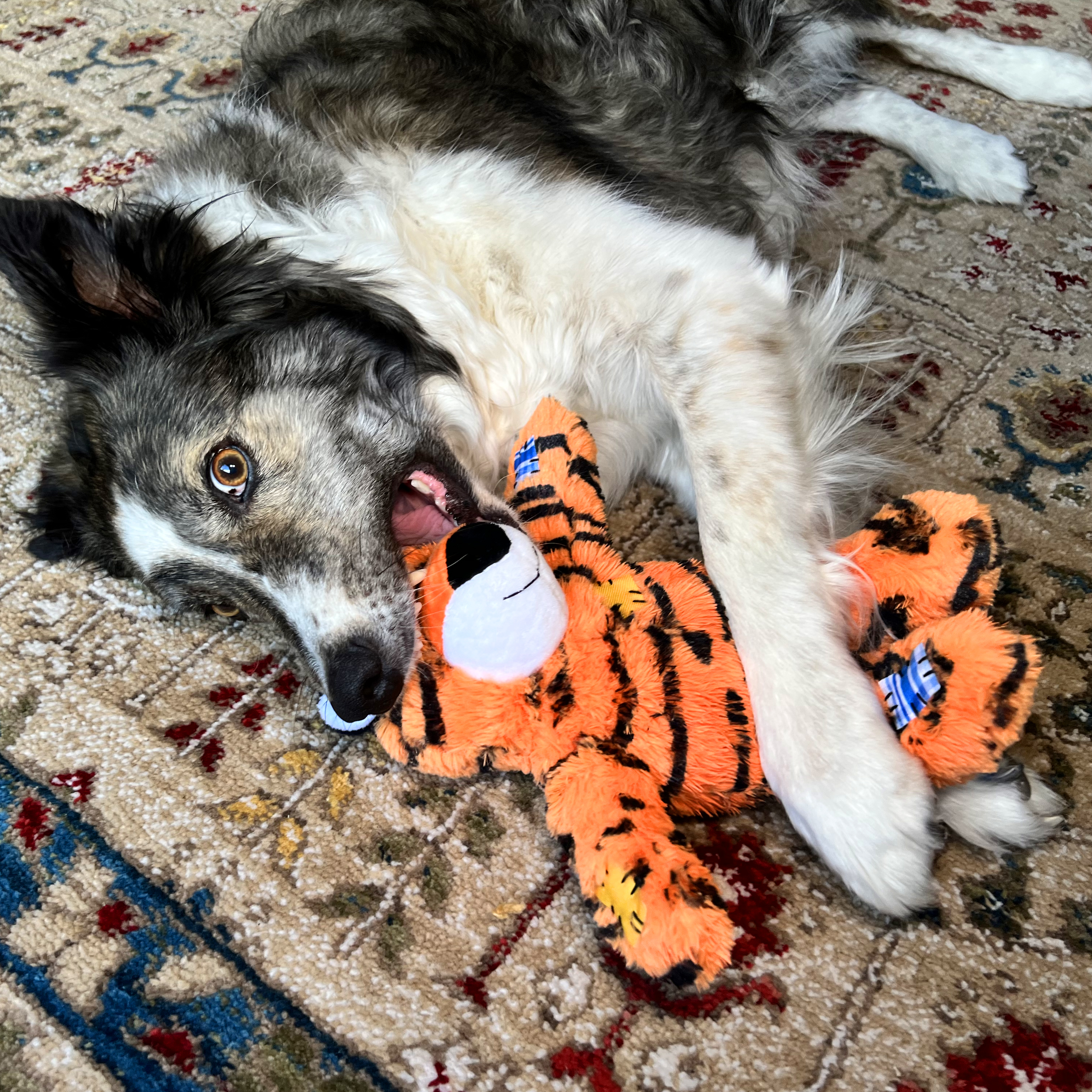 Kong tiger dog store toy