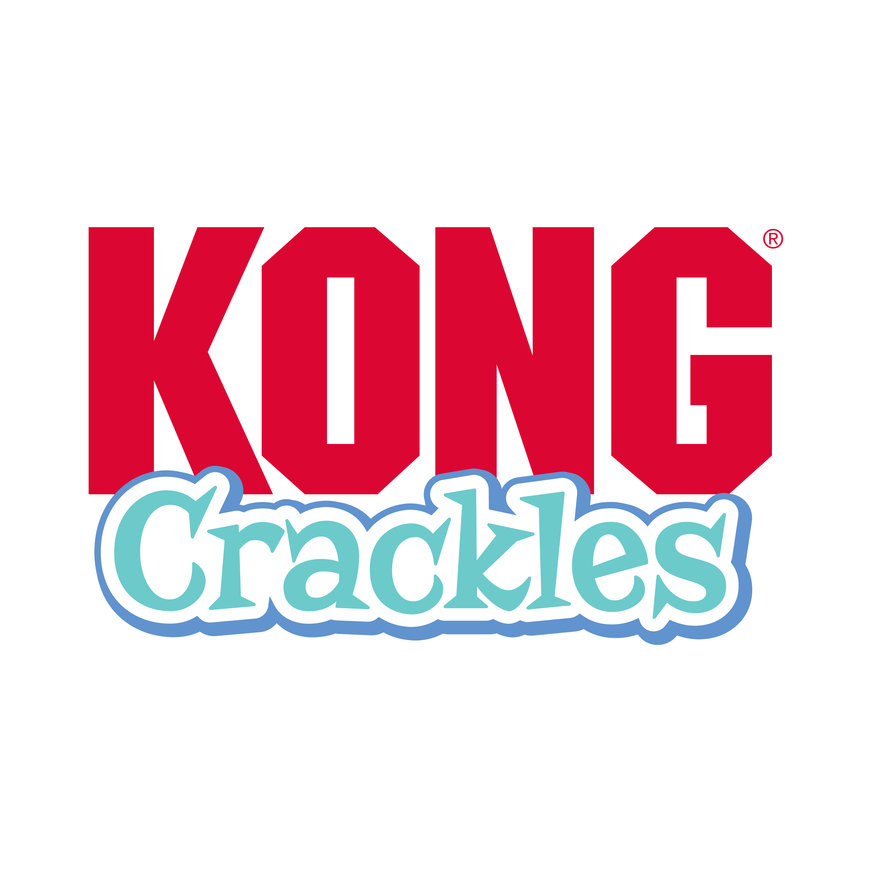 Crackles Winkz Cat | KONG Company
